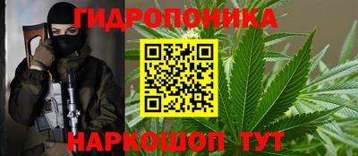 индика Мирный