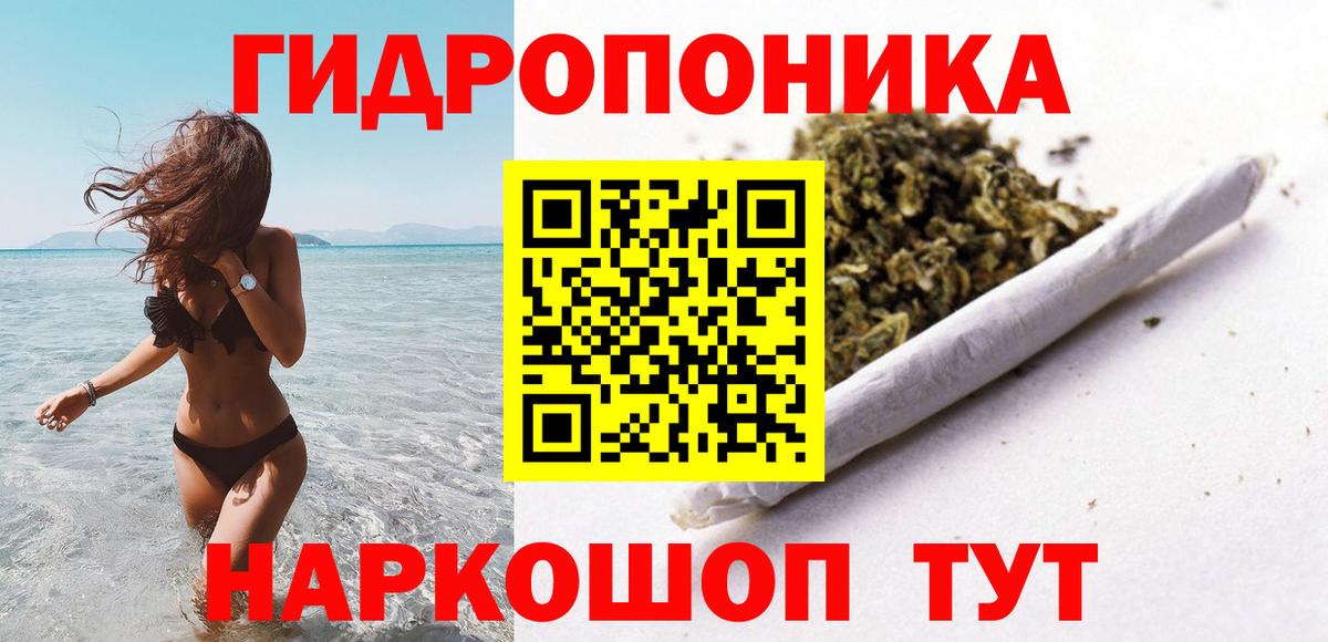 Шишки марихуана марихуана  Вход с VPN  Вичуга  Бошки марихуана планчик 